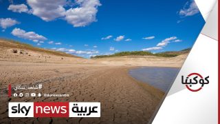 هل سيصبح مناخ أوروبا مشابها للقارة الإفريقية؟