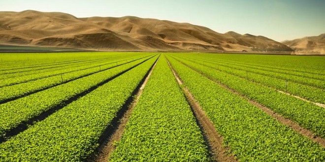 خمس طرق مبتكرة لجعل الزراعة أكثر احتراما للكوكب