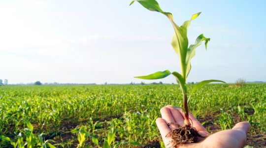 الفلاحة الإيكولوجية تشكل نموذجا فلاحيا بديلا