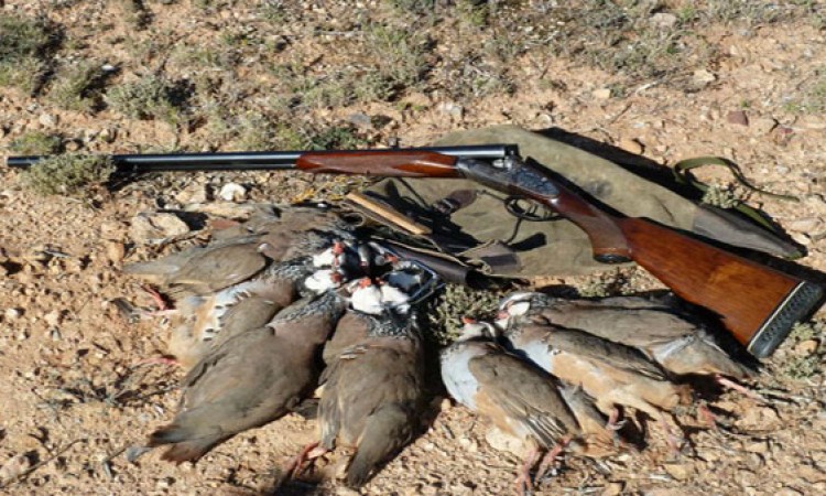 ANEF: اختتام موسم قنص الطرائد المستقرة وبداية فترة الراحة البيولوجية