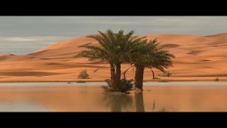 بعد سنين عجاف.. عودة الحياة إلى بحيرات مرزوكة في مشاهد خلابة ساحرة