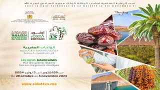الواحات المغربية نحو مستقبل أكثر استدامة في ملتقى التمور الدولي 2024 بأرفود
