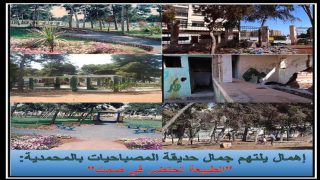 المحمدية.. الطبيعة تحتضر في صمت 