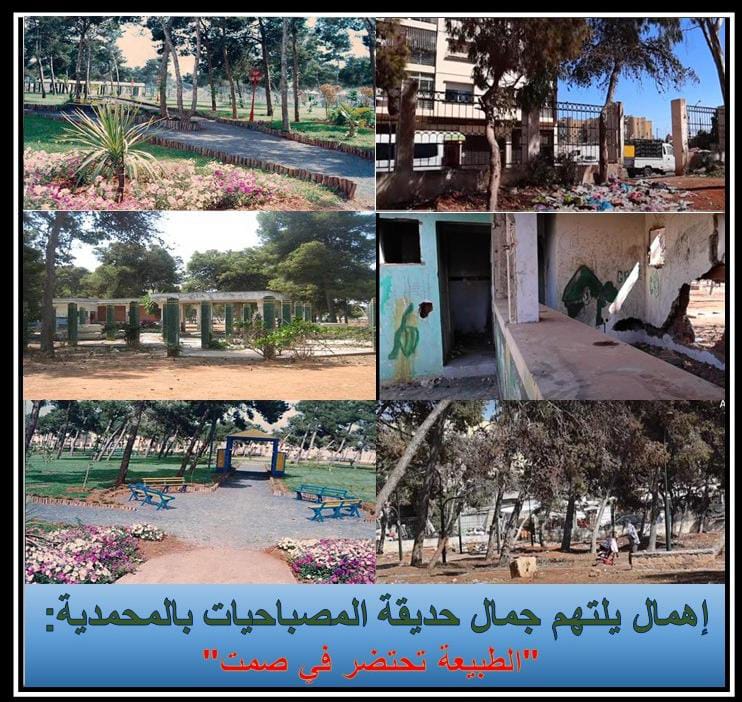 المحمدية.. الطبيعة تحتضر في صمت 
