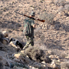 اليوم الأول من موسم القنص يرفع شعار اليقظة والمسؤولية والتزام السلامة