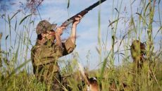 الوكالة الوطنية للمياه والغابات.. جهود متواصلة لمكافحة القنص الجائر