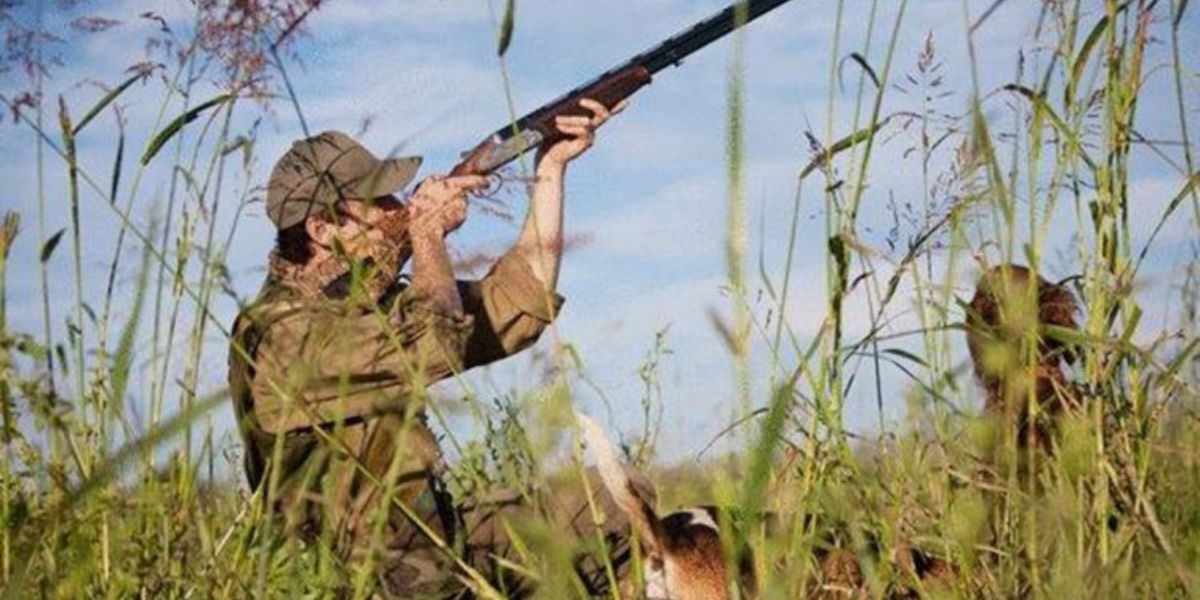 الوكالة الوطنية للمياه والغابات.. جهود متواصلة لمكافحة القنص الجائر