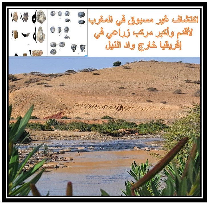 اكتشاف غير مسبوق في المغرب لأقدم وأكبر مركب زراعي في إفريقيا