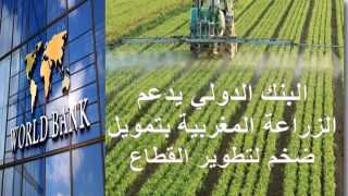 الخبرة المغربية في صلب التحولات الرقمية العالمية: إسهام أكاديمي في تقرير استراتيجي للبنك الدولي