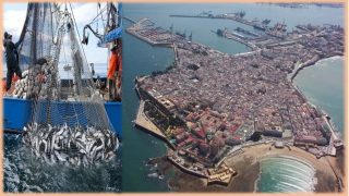 بعد قرار المحكمة الأوروبية الأندلس تدعو لمفاوضات جديدة مع المغرب للحفاظ على أسطولها البحري