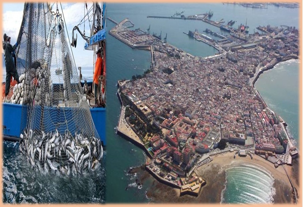 بعد قرار المحكمة الأوروبية الأندلس تدعو لمفاوضات جديدة مع المغرب للحفاظ على أسطولها البحري