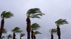 نشرة إنذارية.. هبات رياح قوية مصحوبة بتطاير الغبار ستهم عددا من أقاليم المملكة اليوم الخميس