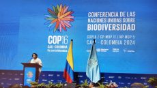 فشل كوب 16 للتنوع البيولوجي في الاتفاق على تمويل لوقف تدمير الطبيعة