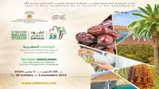 أرفود: توزيع جوائز استحقاق بالمعرض الدولي للتمور