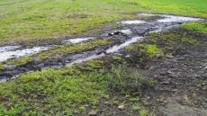 مادة المرجان الناتجة عن عصر الزيتون لها أضرار وخيمة على الفرشة المائية ومياه السدود