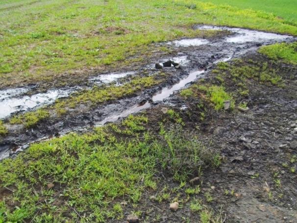 مادة المرجان الناتجة عن عصر الزيتون لها أضرار وخيمة على الفرشة المائية ومياه السدود