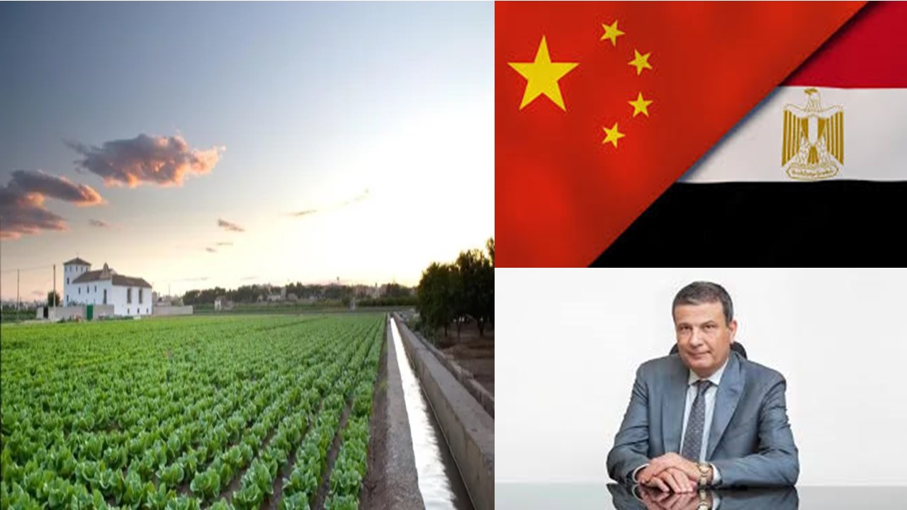 تحالف صيني-مصري لإنشاء مشروع زراعي متكامل