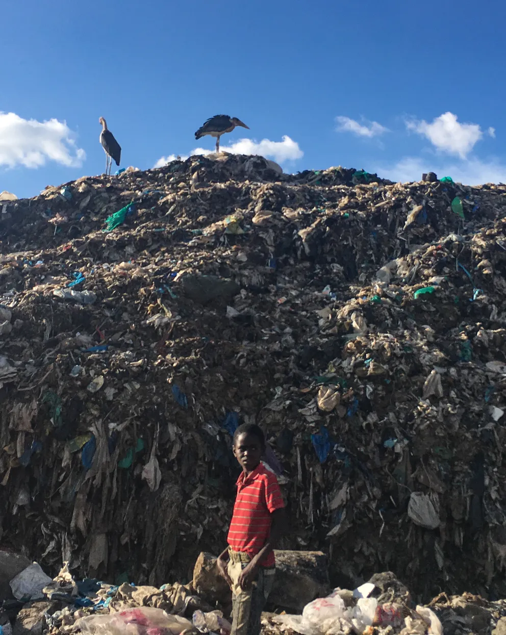 كوب29..إعلان خفض انبعاثات الميثان من النفايات العضوية