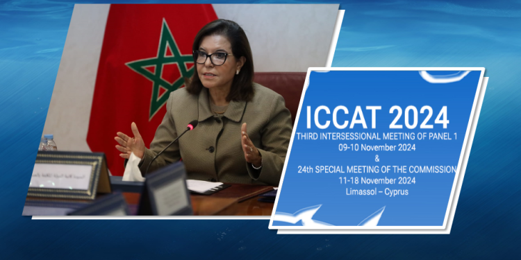 صورة عن موقع المغرب الأزرق 