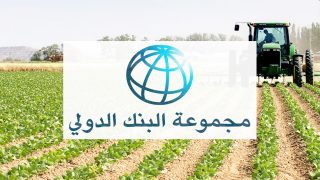 مجموعة البنك الدولي تضاعف تمويل الاستثمار في مجال الصناعة الزراعية