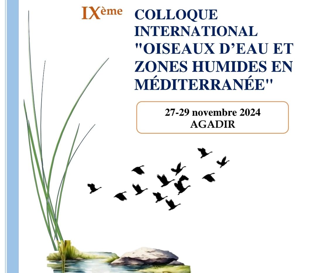 أكادير تحتضن  المؤتمر  الدولي للطيور المائية والأراضي الرطبة بحوض البحر الأبيض المتوسط 