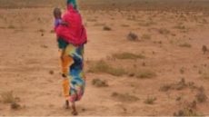 اليونيسف: جفاف منطقة الأمازون يعرض نحو نصف مليون طفل للخطر