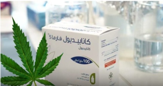 دواء مغربي للصرع مستخلص من القنب الهندي