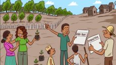 مدغشقر.. أداة لتنزيل الحق في المعلومة الخضراء