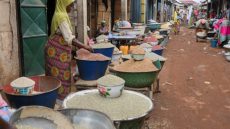 غانا.. الجفاف يتسبب في ارتفاع واردات الأرز