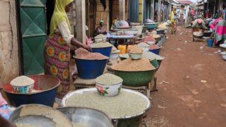 غانا.. الجفاف يتسبب في ارتفاع واردات الأرز