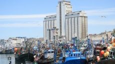 آسفي..مندوبية الصيد البحري تدعو المهنيين لتجديد رخص الصيد