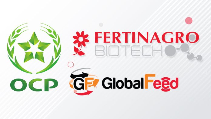 مجموعة OCP تعزز حضورها في قطاع الأعلاف الحيوانية من خلال السيطرة على “غلوبال فيد”