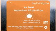 فيديو..نشرة إنذارية بأحوال الطقس