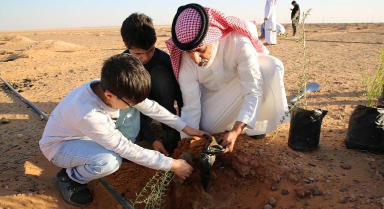 كوب 16.. تجارب ناجحة لمكافحة التصحر