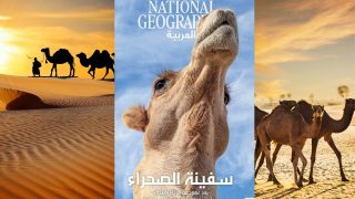 ناشيونال جيوغرافيك تقدم أبرز لقطات 2024
