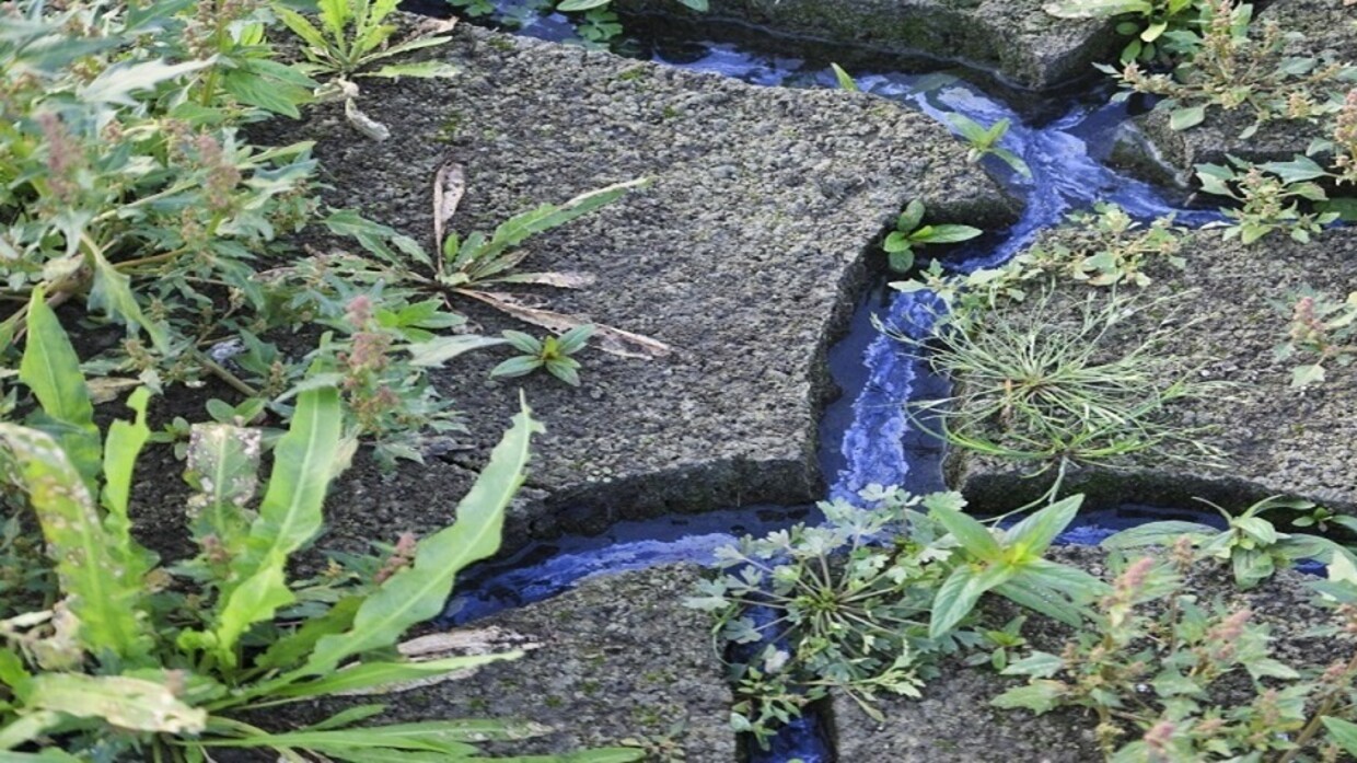 ابتكار..بكتيريا مفيدة لتنظيف التربة الملوثة بالنفط