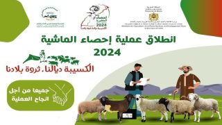 انطلاق عملية الإحصاء العام للقطيع الوطني للأغنام والماعز