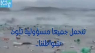 فيديو.. تلوث الشواطىء