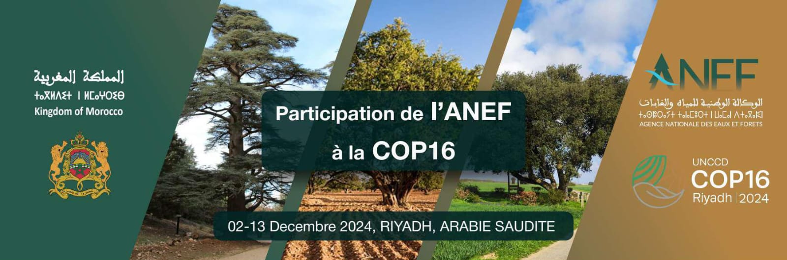 الوكالة الوطنية للمياه والغابات تمثل المغرب في مؤتمر “الكوب16” لمكافحة التصحر