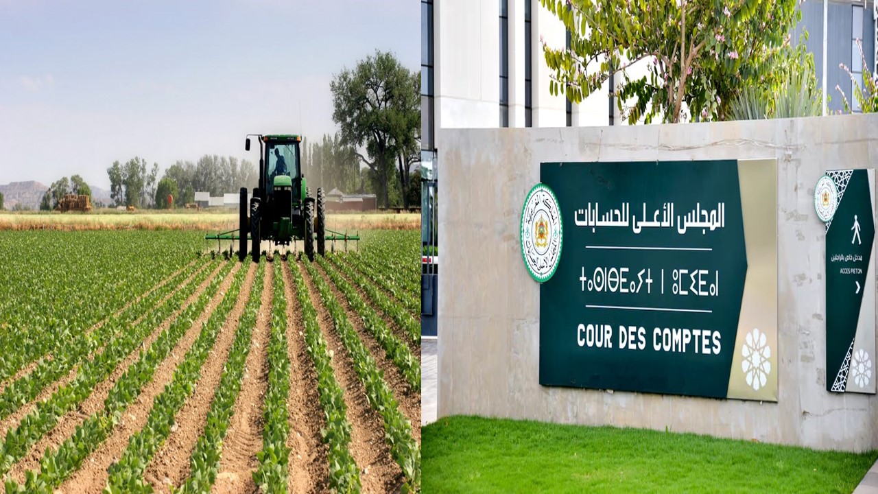 تقرير المجلس الأعلى للحسابات: التغيرات المناخية تهدد مستقبل الزراعة المغربية