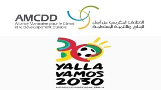 نداء المجتمع المدني البيئي: نحو كأس عالم مستدام وشامل في 2030