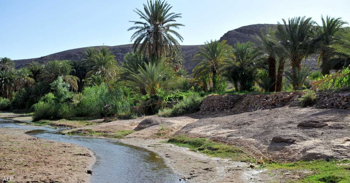 المغرب يحتل مرتبة متأخرة في مؤشر رأس المال الطبيعي بالمجال البيئي