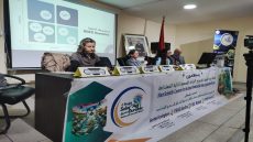 قافلة “نور” تناقش الزراعة الذكية والمجتمع الإبداعي لمواجهة تحديات المناخ