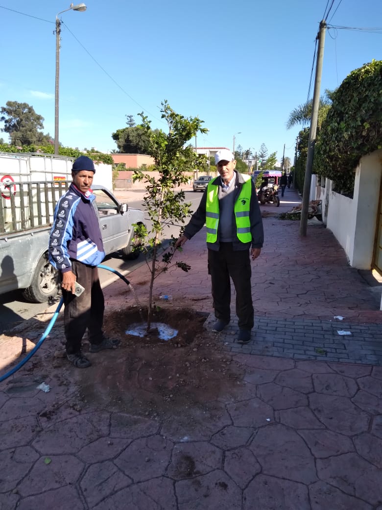 جمعية الفضاء الأخضر تغرس 83 شجرة بالجديدة
