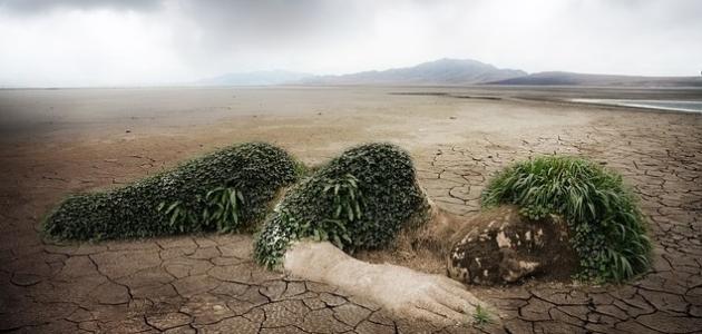 تقرير:استراتيجية تقليل الكادميوم لضمان سلامة التربة والغذاء