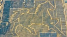  صورة لحقل الطاقة الشمسية العملاق في الصين الذي يأخد شكل حصان راكض