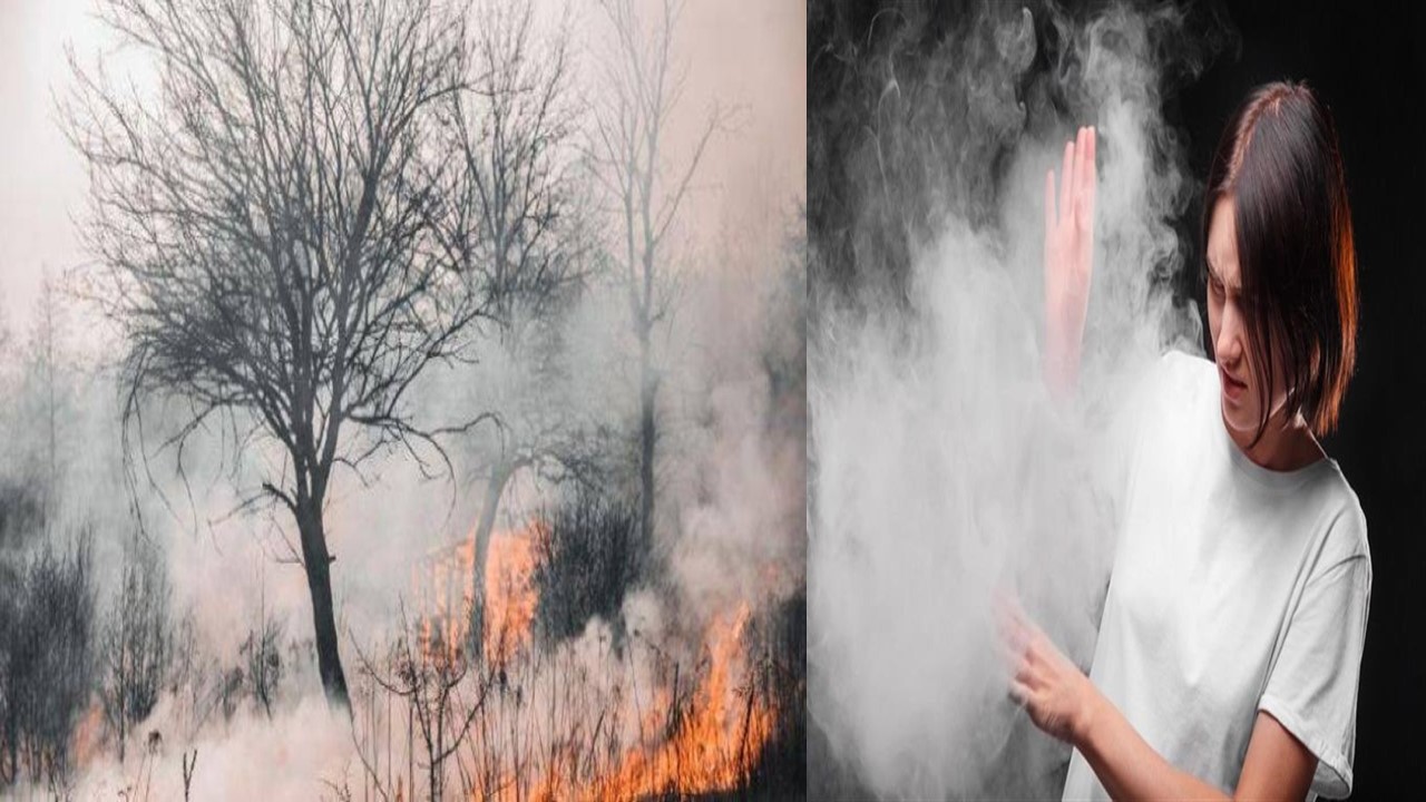 دخان حرائق الغابات.. خطر صامت يهدد الصحة والبيئة