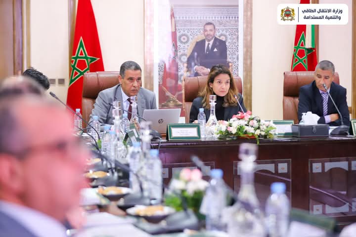 ليلى بنعلي تترأس أشغال الدورة الرابعة والثلاثين للمجلس الإداري للمركز الوطني للطاقة والعلوم والتقنيات النووية