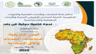 استدامة المدن الإفريقية.. موضوع ندوة علمية دولية