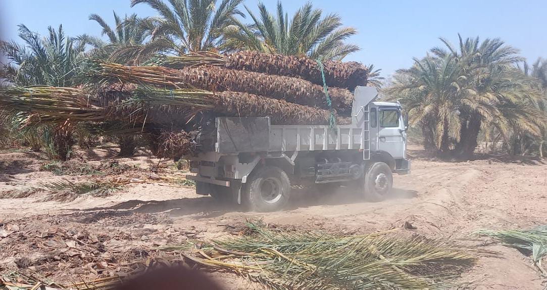 جمعية أصدقاء البيئة تواصل استياءها من الجرائم البيئية بإقليم زاݣورة